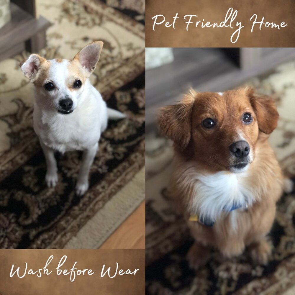 Pet Friendly Home